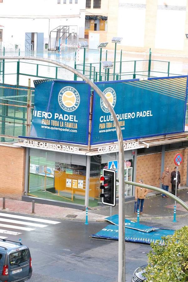 Los estragos del temporal en Sevilla