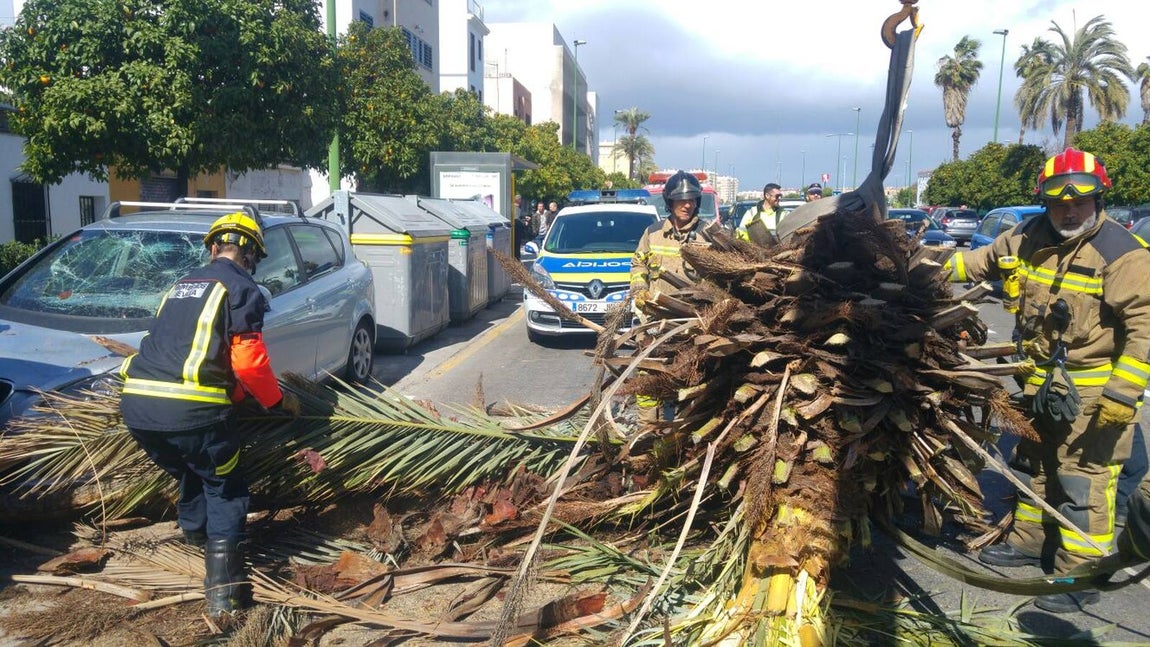 Los estragos del temporal en Sevilla