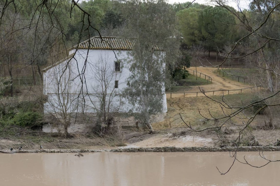 Molinos del río Guadaíra, casi inundados