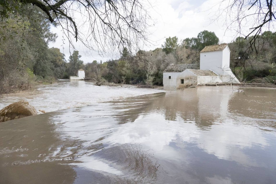 Molinos del río Guadaíra, casi inundados
