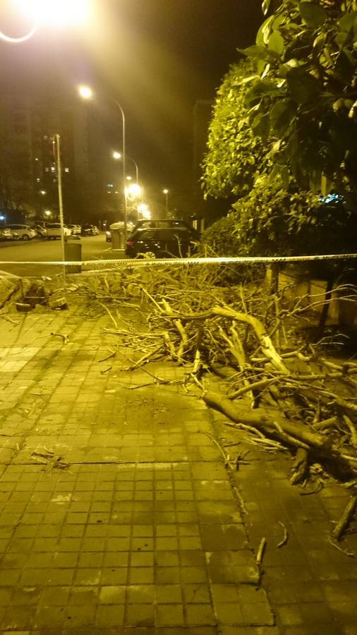 #TemporalABCsev: Los estragos del temporal en la ciudad desde el objetivo de los sevillanos