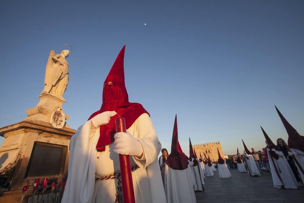 La hermandad de la Vera-Cruz, en imágenes