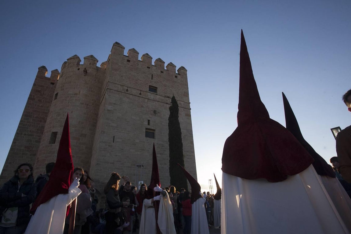 La hermandad de la Vera-Cruz, en imágenes