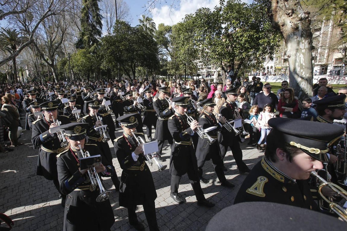 En fotos, la hermandad de la Estrella