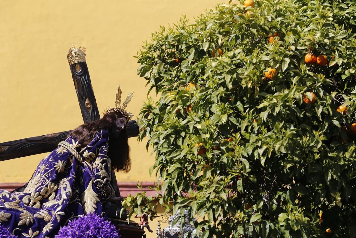 En imágenes, la hermandad del Caído de Jueves Santo