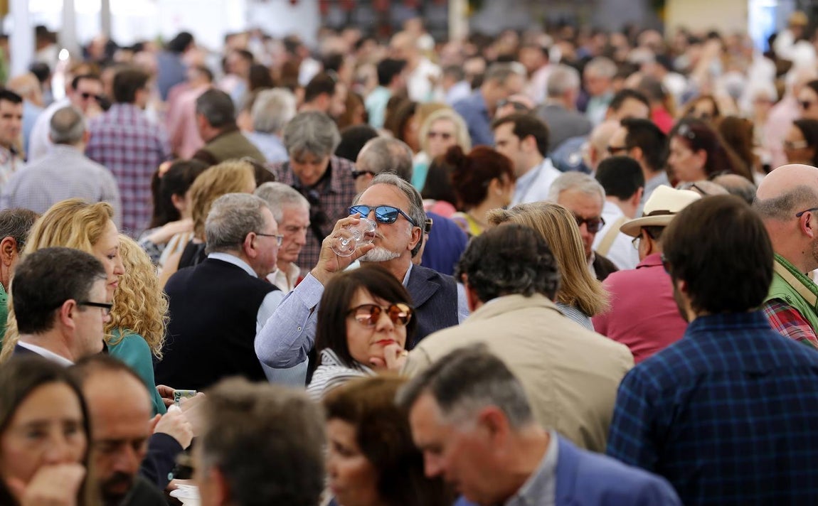 En imágenes, el viernes en la Cata del Vino