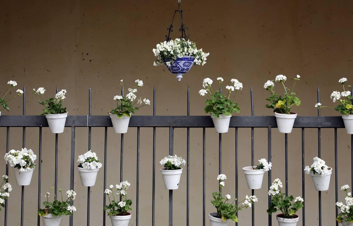 Las Cruces de Mayo 2018 ganadoras, en imágenes