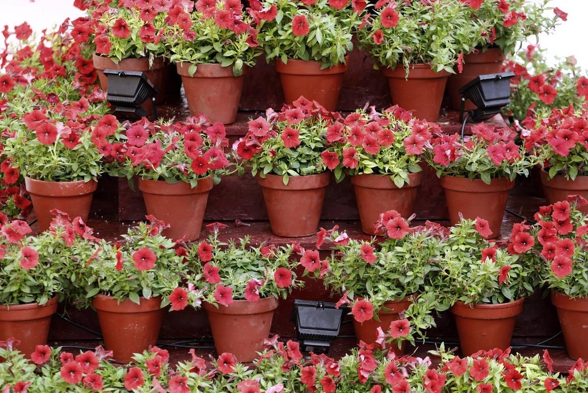 Las Cruces de Mayo 2018 ganadoras, en imágenes