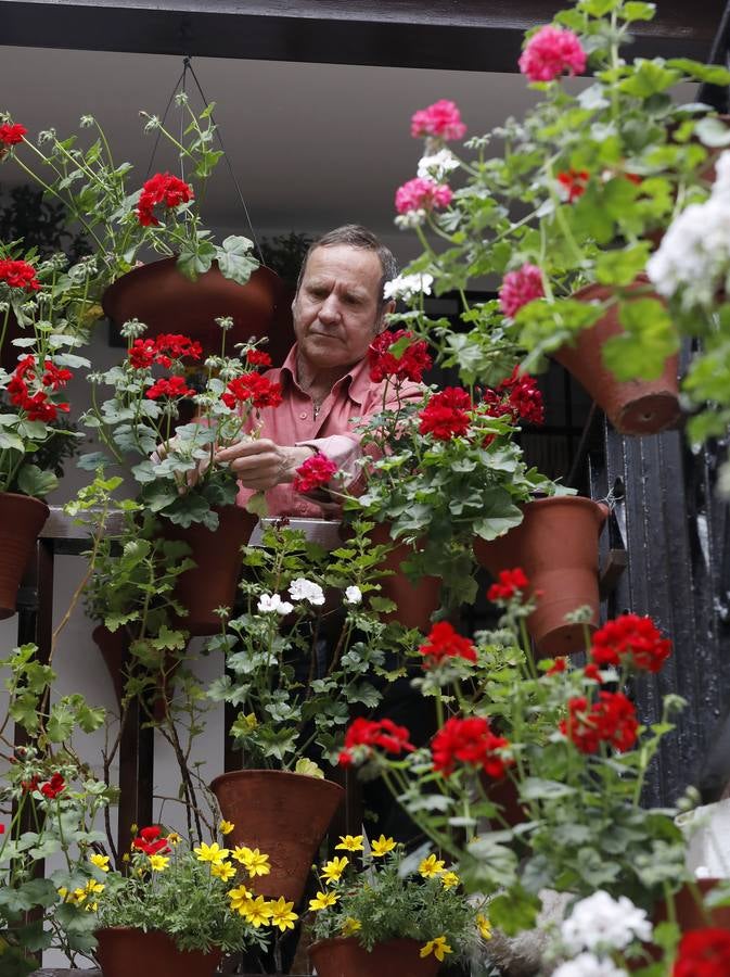 Los preparativos de la Fiesta de los Patios de Córdoba, en imágenes