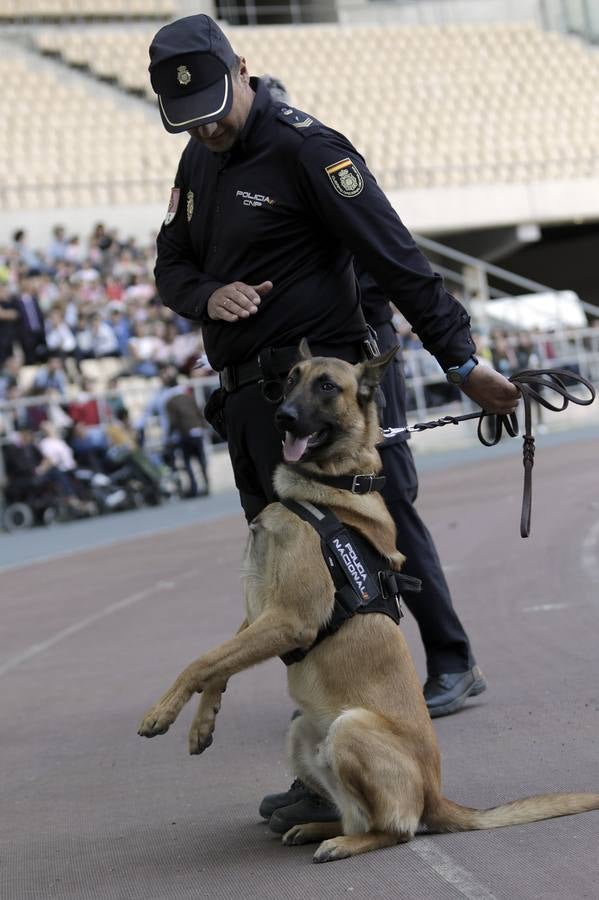 Espectacular exhibición de las unidades especiales de la Policía Nacional
