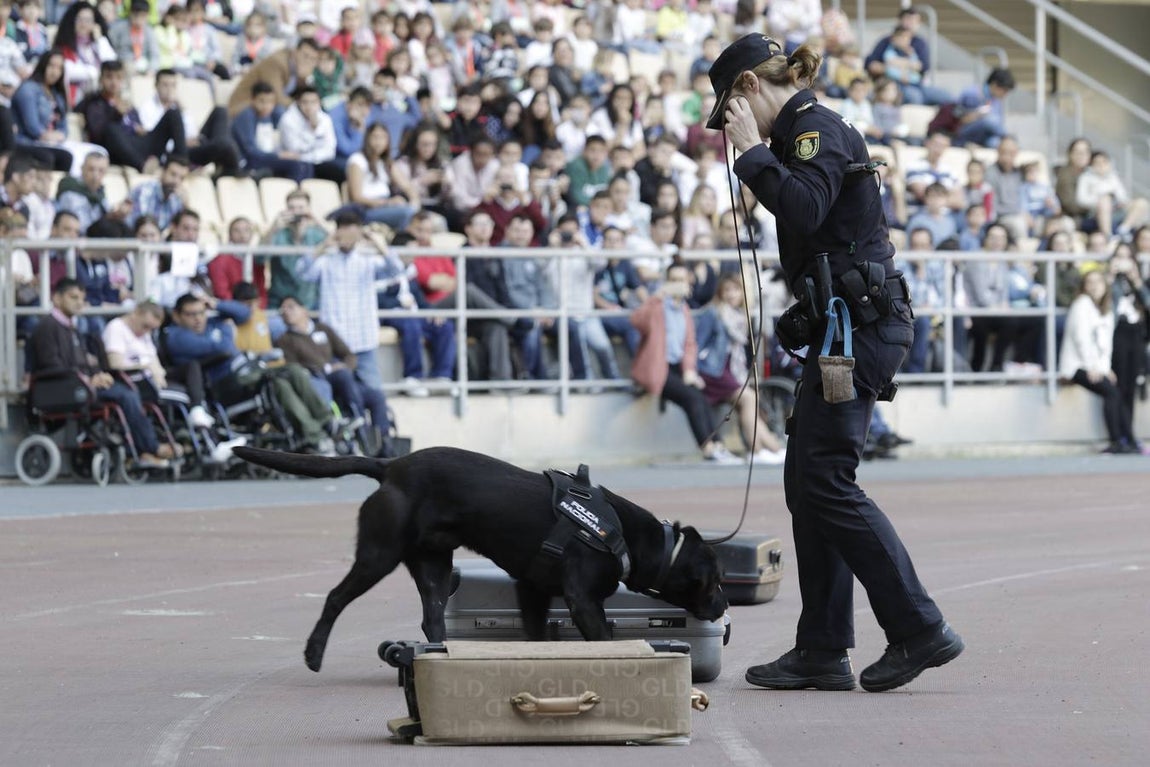 Espectacular exhibición de las unidades especiales de la Policía Nacional