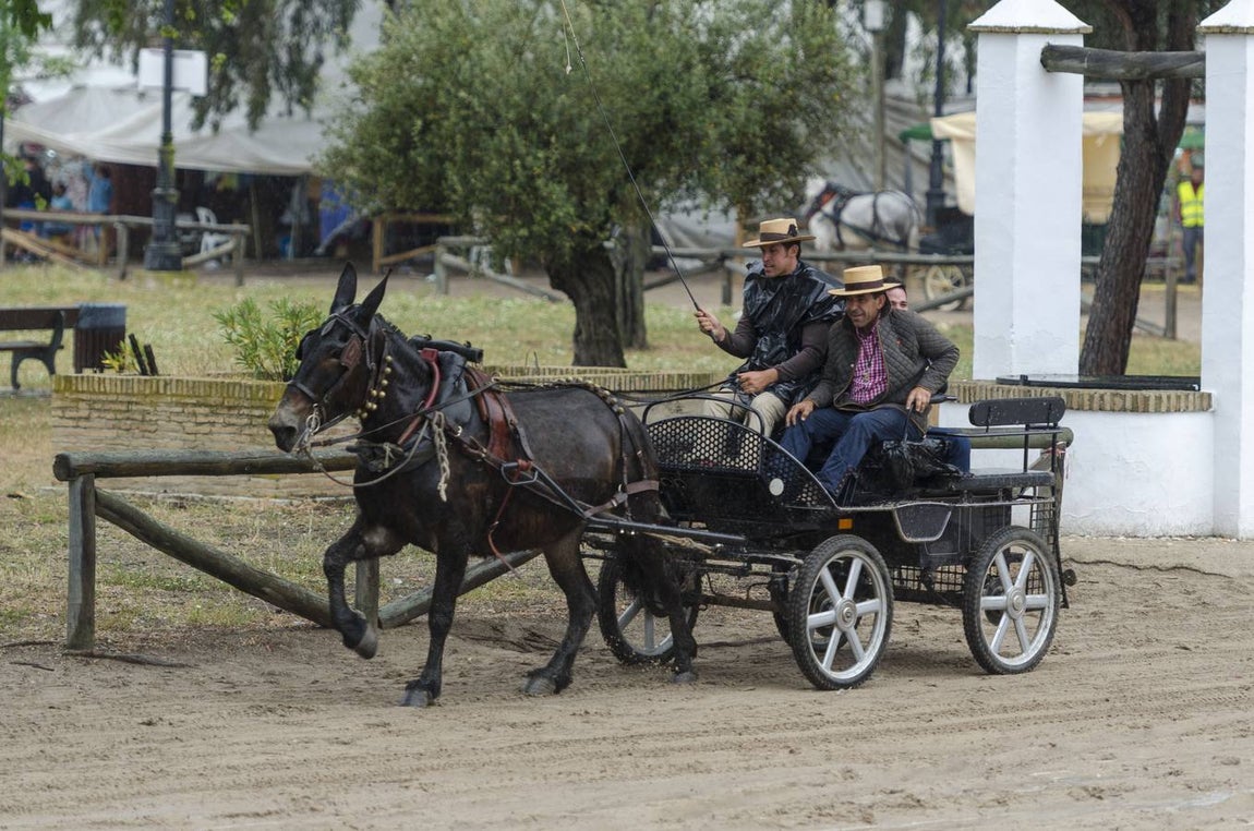 Chaparrones de mayo en el Rocío