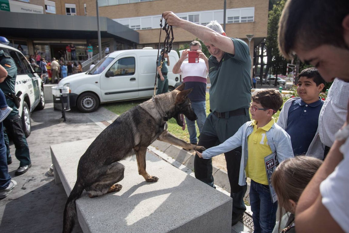 Jornada de convivencia entre las Fuerzas Armadas y niños ingresados en el Hospital Virgen del Rocío de Sevilla
