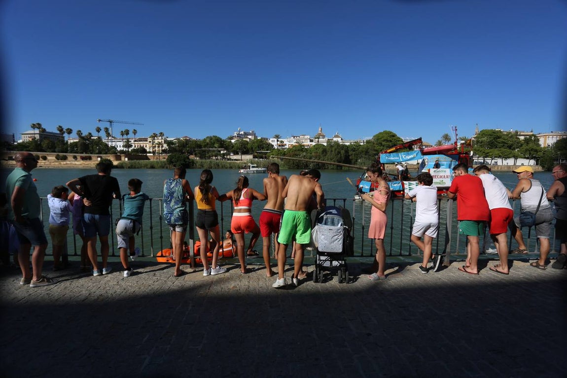 La tradicional cucaña de la Velá de Triana, en imágenes