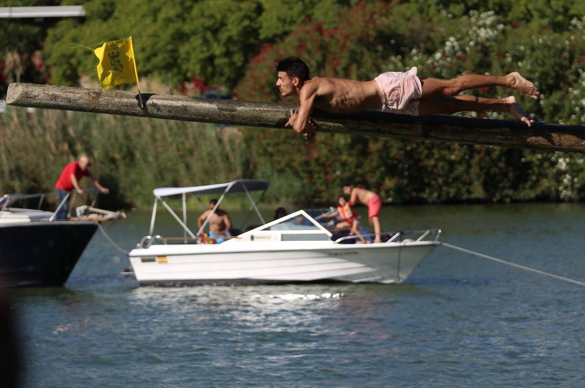 La tradicional cucaña de la Velá de Triana, en imágenes
