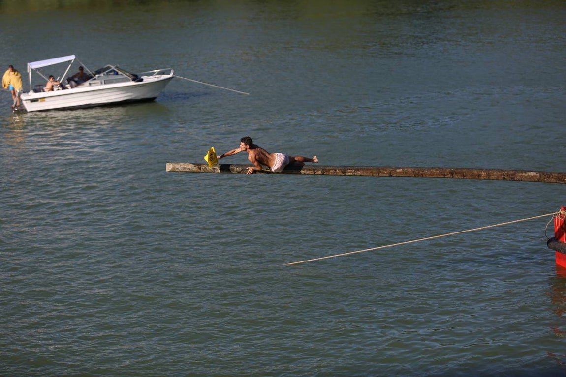 La tradicional cucaña de la Velá de Triana, en imágenes