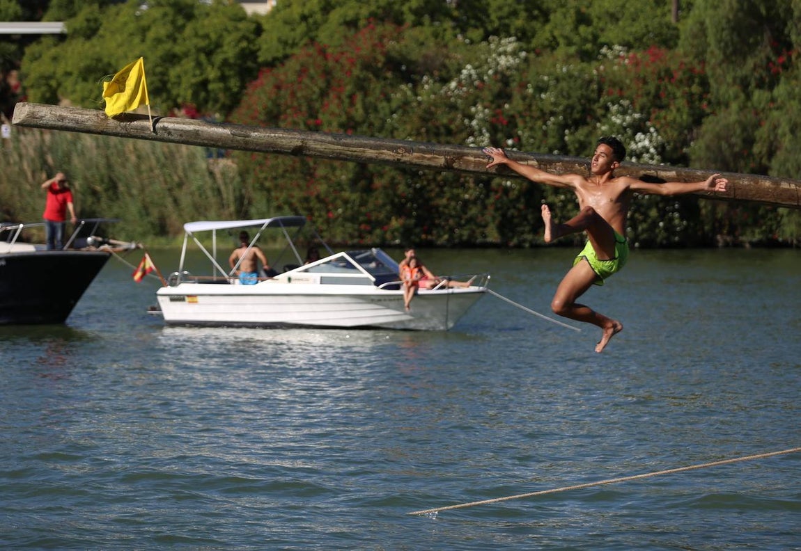 La tradicional cucaña de la Velá de Triana, en imágenes