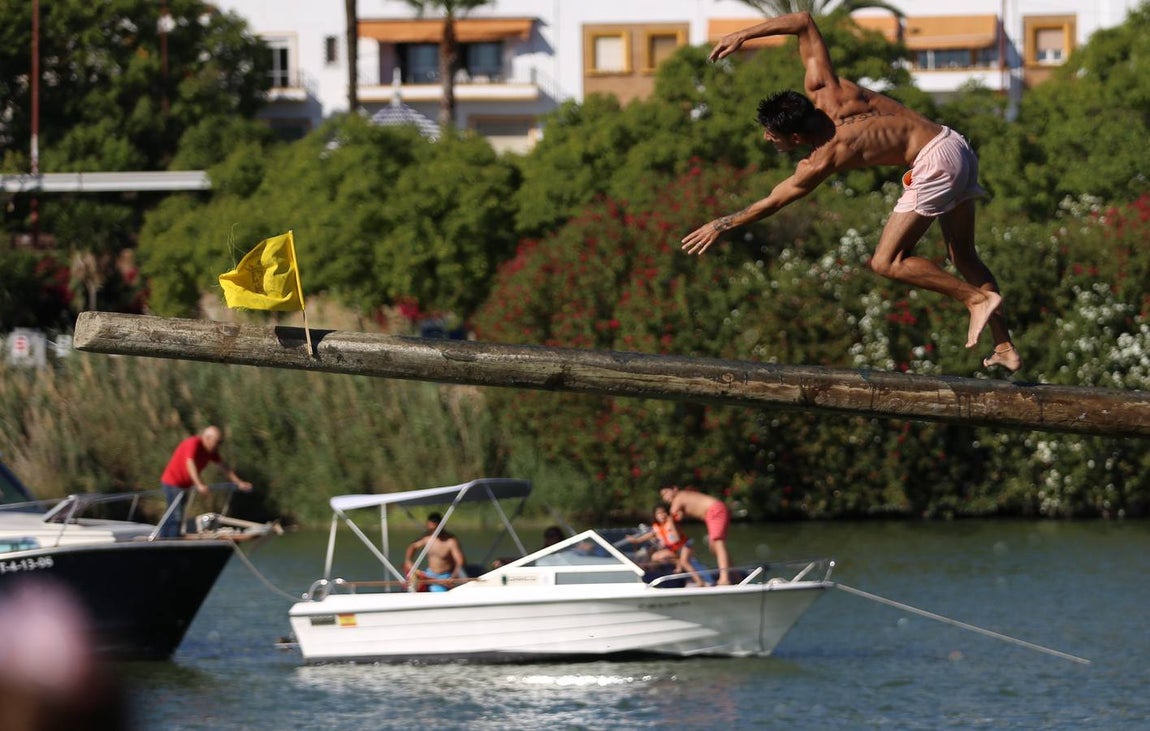 La tradicional cucaña de la Velá de Triana, en imágenes