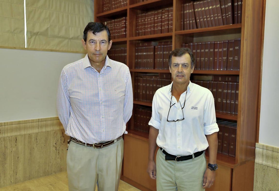 «Necesitamos empresas grandes frente a ataques con aranceles»