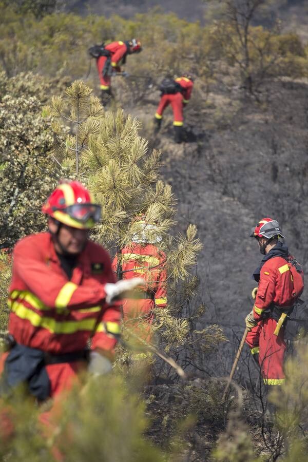 Impactantes imágenes del incendio de Nerva en Huelva