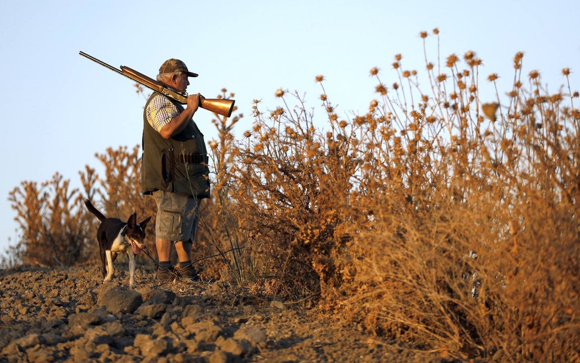 Imágenes de un día de caza en Córdoba