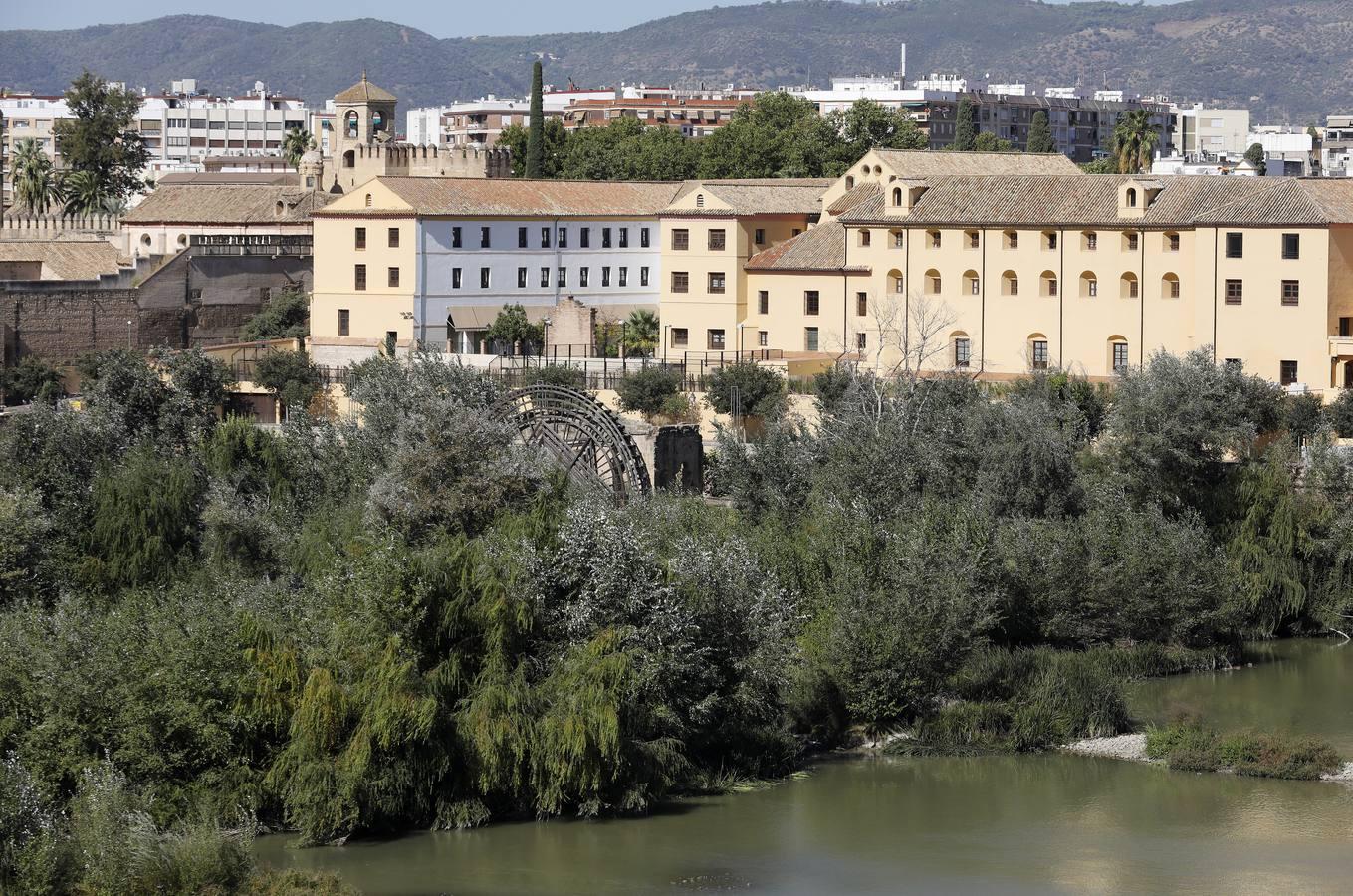 Un paseo por el bosque del río Guadalquivir en Córdoba, en imágenes