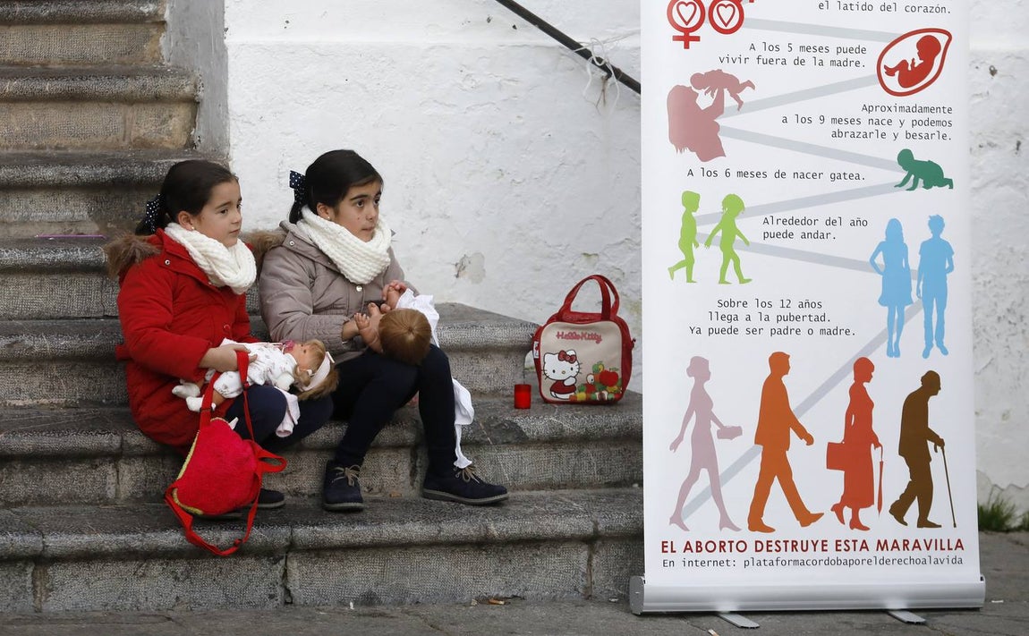 La concentración por el derecho a la vida en Córdoba, en imágenes