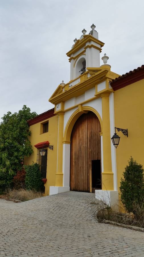 La Boticaria volverá a abrir sus puertas