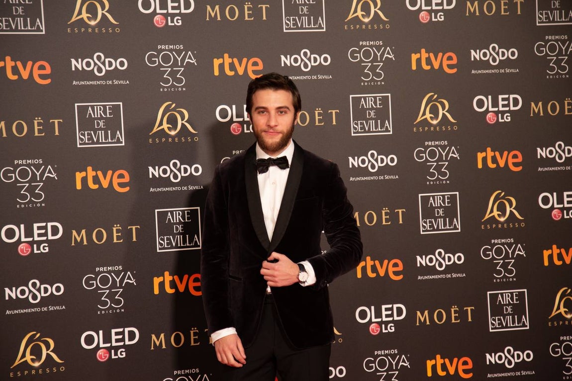 Premios Goya 2019: El cine se viste de gala en Sevilla (II)