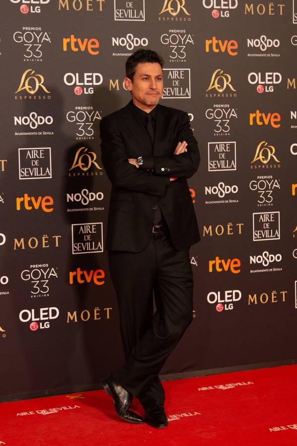 Premios Goya 2019: El cine se viste de gala en Sevilla (II)