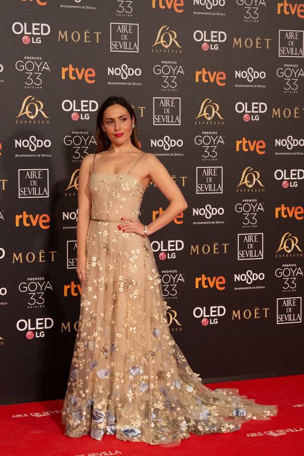 Premios Goya 2019: El cine se viste de gala en Sevilla (II)
