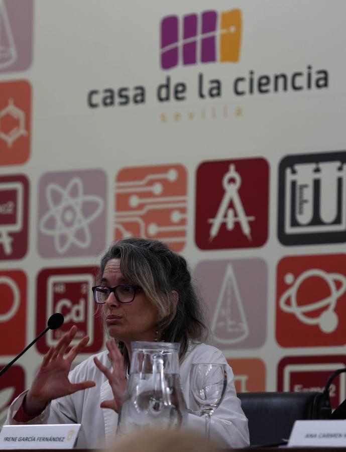 En imágenes, la jornada en Sevilla «Las niñas y la ciencia»