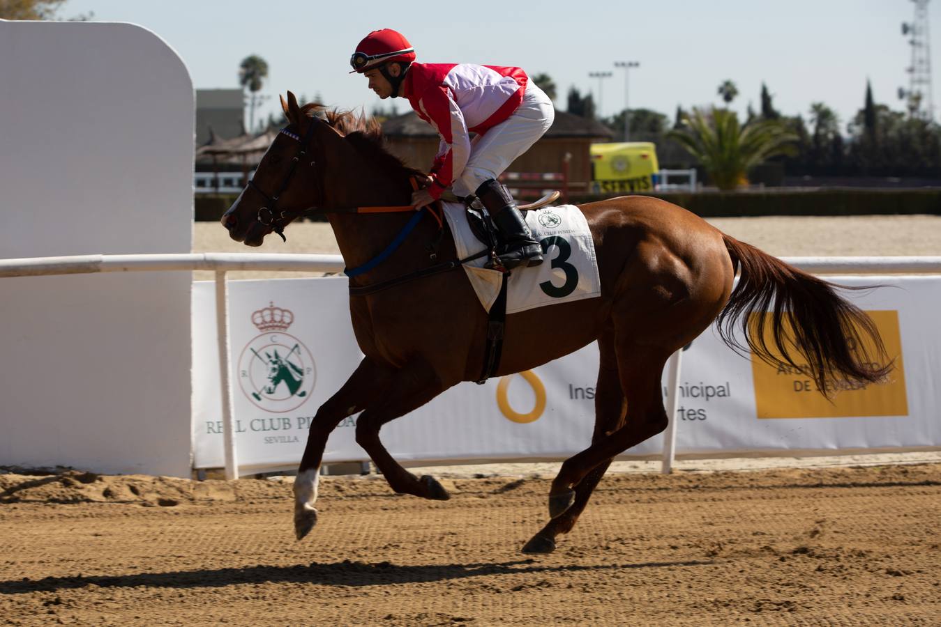 En imágenes, una nueva edición de las carreras de caballos del Club Pineda