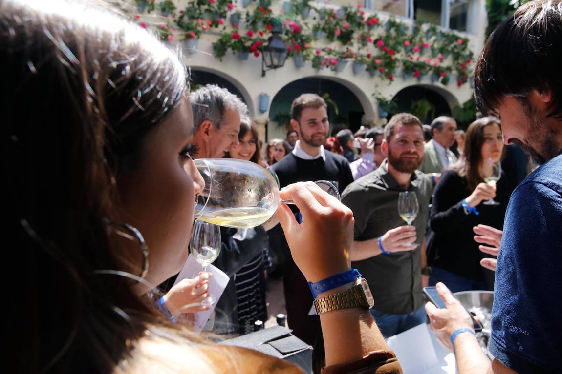 La cata de los mejores vinos de España en Bodegas Campos, en imágenes