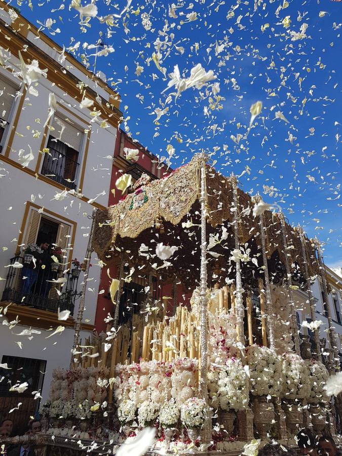 #SantaSevABC: La Semana Santa sevillana tras el objetivo de los lectores