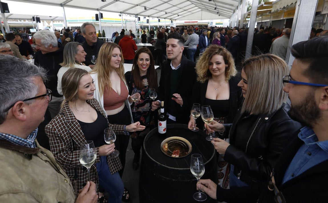 El primer día de la Cata de Vino de Córdoba 2019, en imágenes