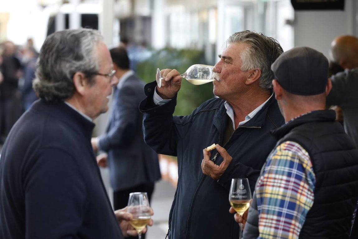 El primer día de la Cata de Vino de Córdoba 2019, en imágenes