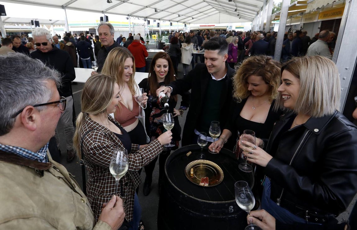 El primer día de la Cata de Vino de Córdoba 2019, en imágenes