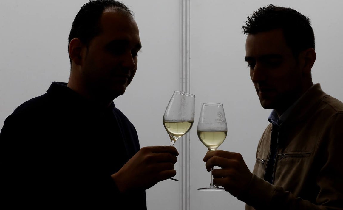 El primer día de la Cata de Vino de Córdoba 2019, en imágenes
