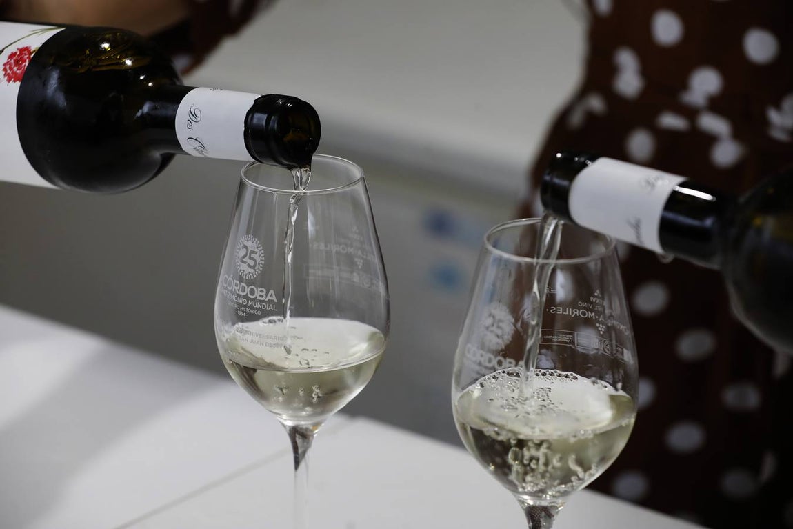 El primer día de la Cata de Vino de Córdoba 2019, en imágenes