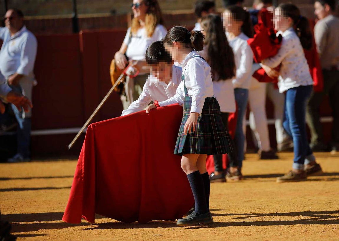 Jornada de puertas abiertas en la Plaza de Toros de la Real Maestranza de Sevilla