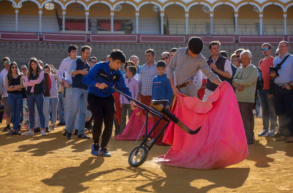 Jornada de puertas abiertas en la Plaza de Toros de la Real Maestranza de Sevilla