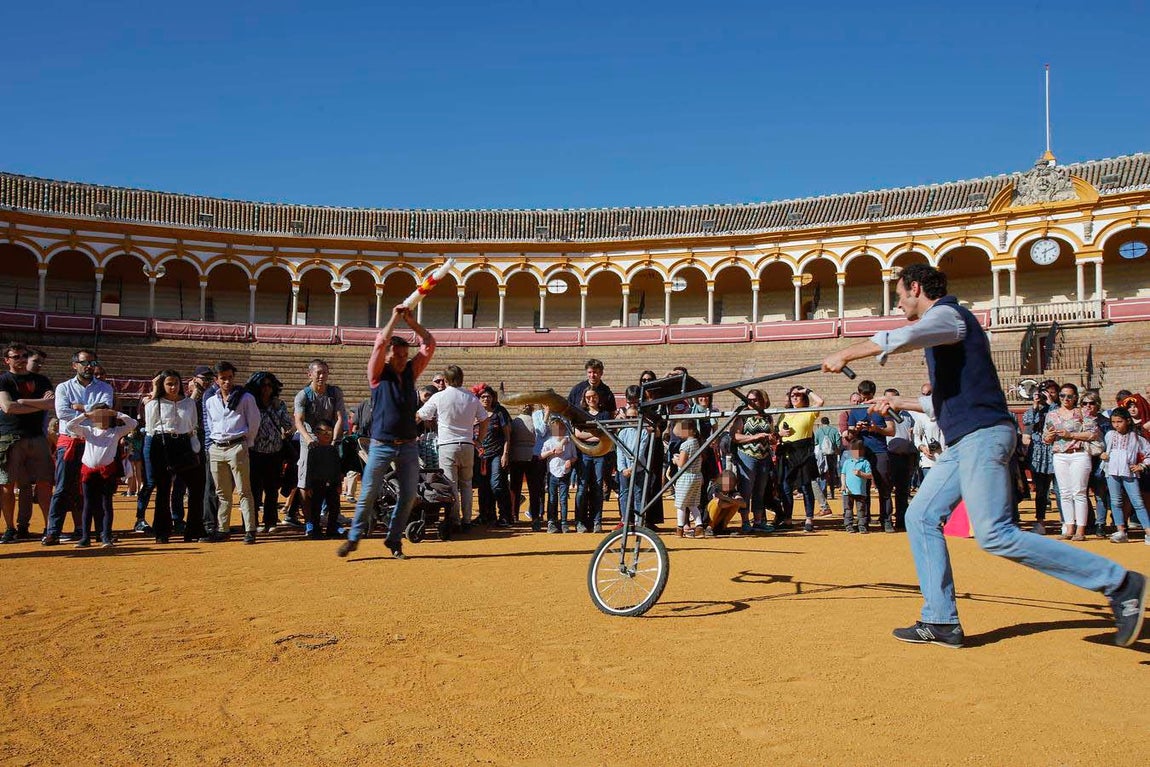 Jornada de puertas abiertas en la Plaza de Toros de la Real Maestranza de Sevilla