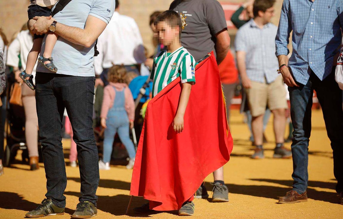 Jornada de puertas abiertas en la Plaza de Toros de la Real Maestranza de Sevilla