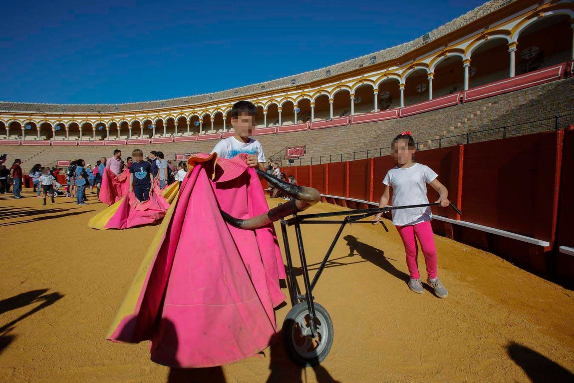 Jornada de puertas abiertas en la Plaza de Toros de la Real Maestranza de Sevilla