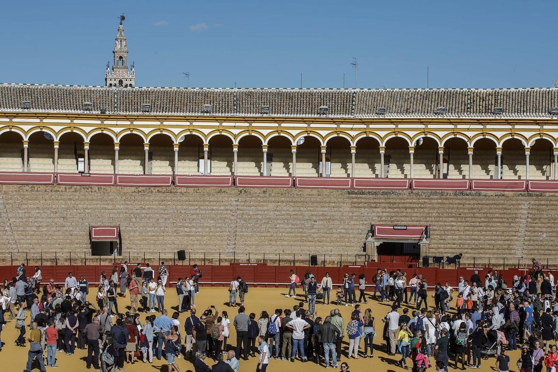 Jornada de puertas abiertas en la Plaza de Toros de la Real Maestranza de Sevilla