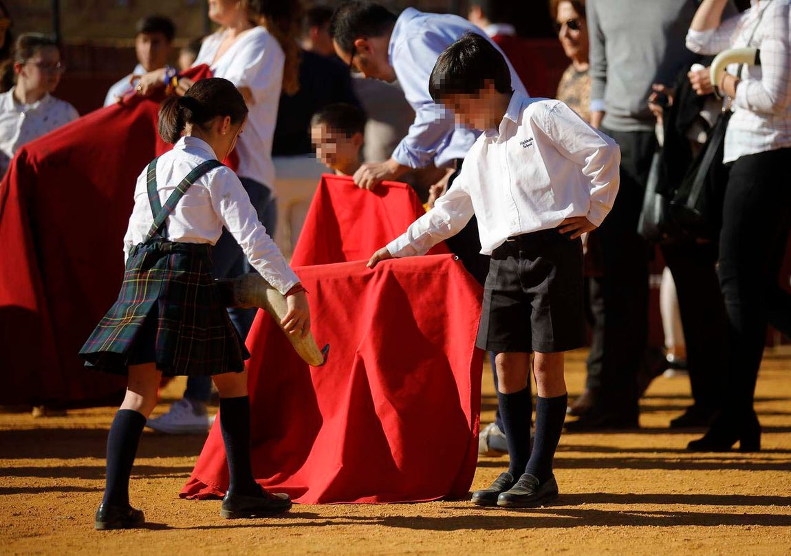Jornada de puertas abiertas en la Plaza de Toros de la Real Maestranza de Sevilla