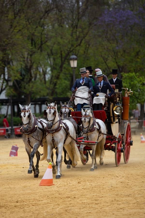 En imágenes, el Concurso y posterior paseo de los Enganches por Sevilla
