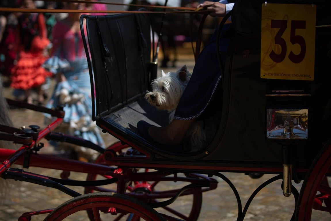 Feria de Sevilla: Vibrante y colorido domingo en el real