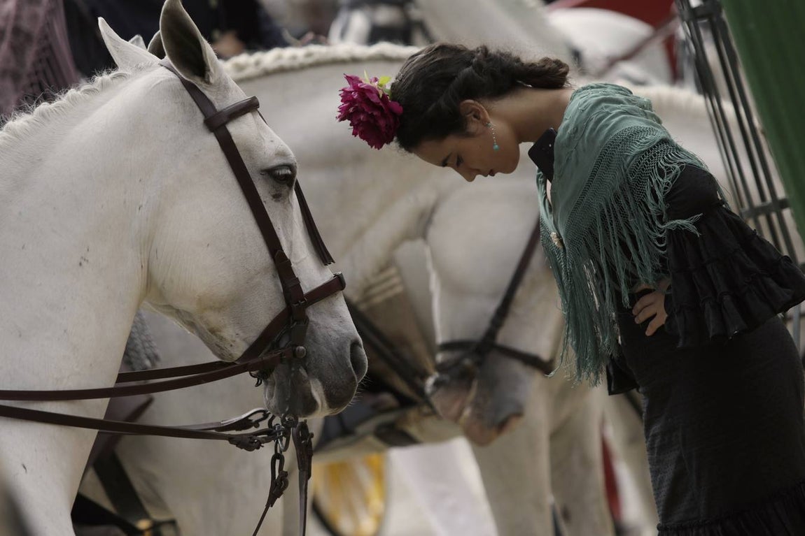 Galería: Jueves, un día perfecto para disfrutar de la Feria de Abril de Sevilla 2019